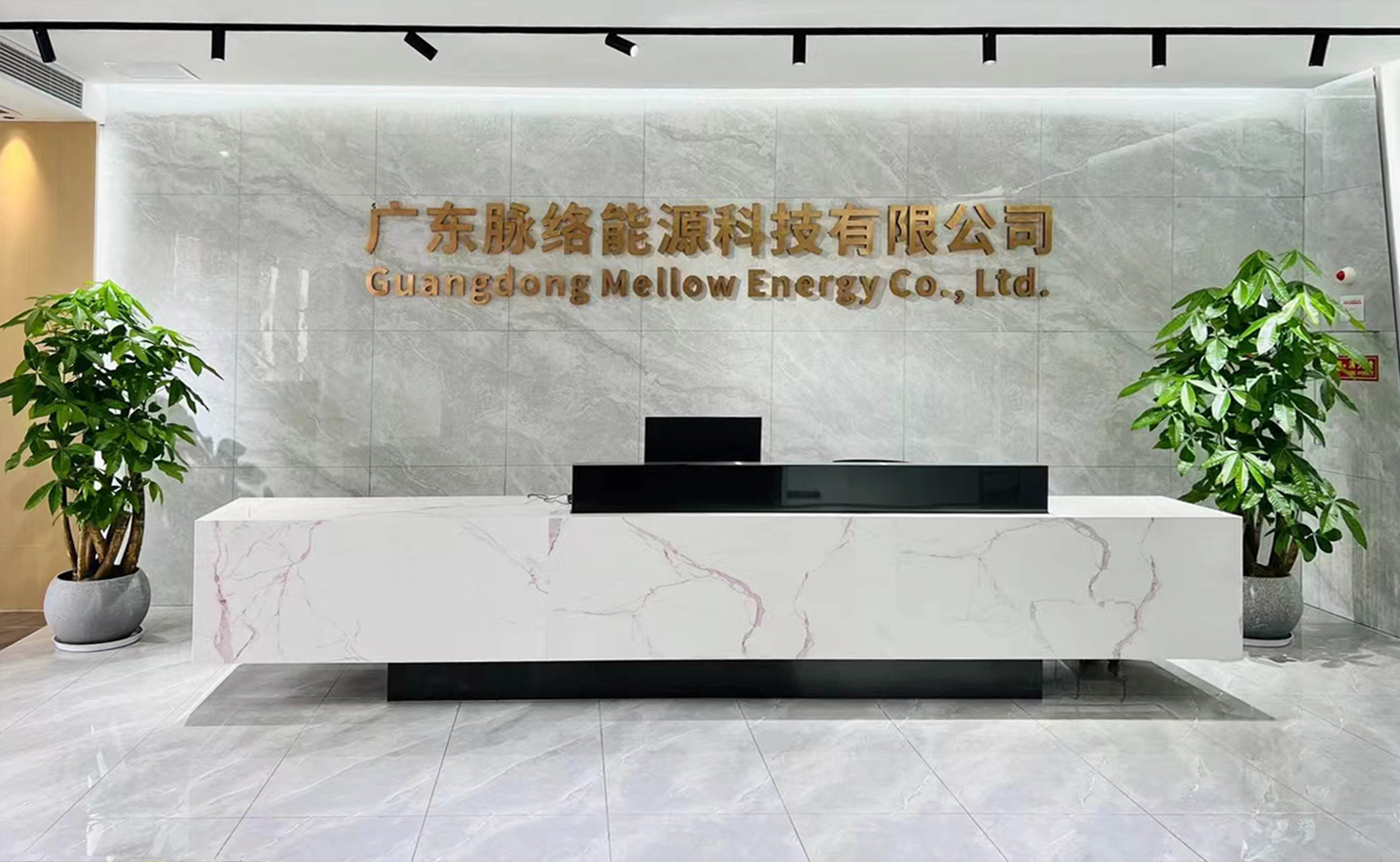 Guangdong Mellow Energy Co., Ltd. About Us 2